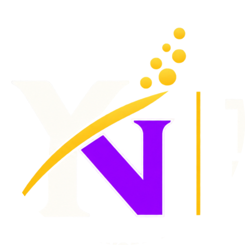 The You Network - Model